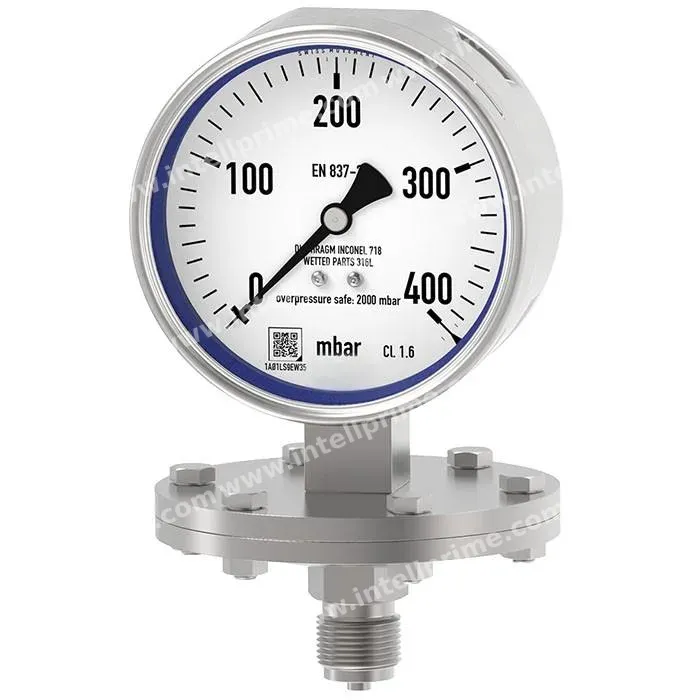 Diaphragm pressure gauge