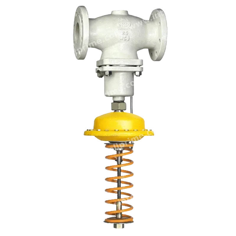 Self-operated Control Valve